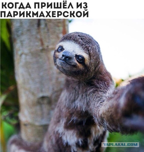 Для Поднятия Настроения - 3