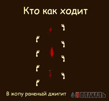 Фотожаба: Кто как ходит