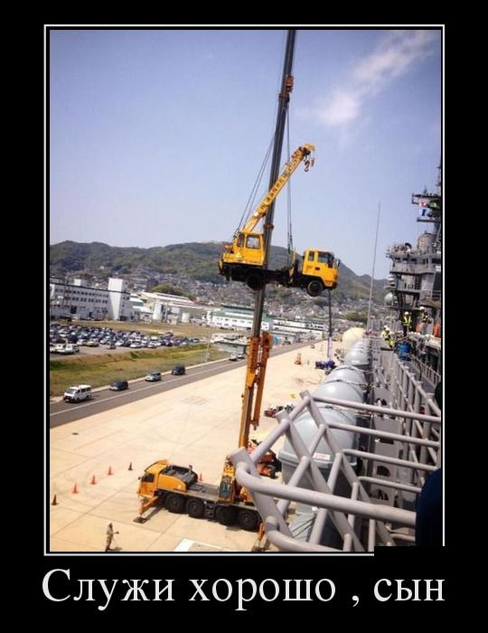 Картинки и приколы из сети