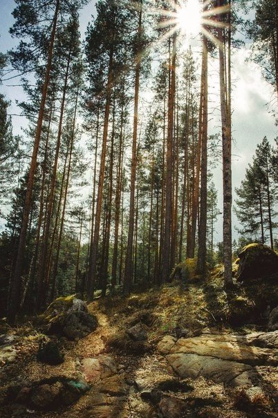 Картинки для отдыха глаз
