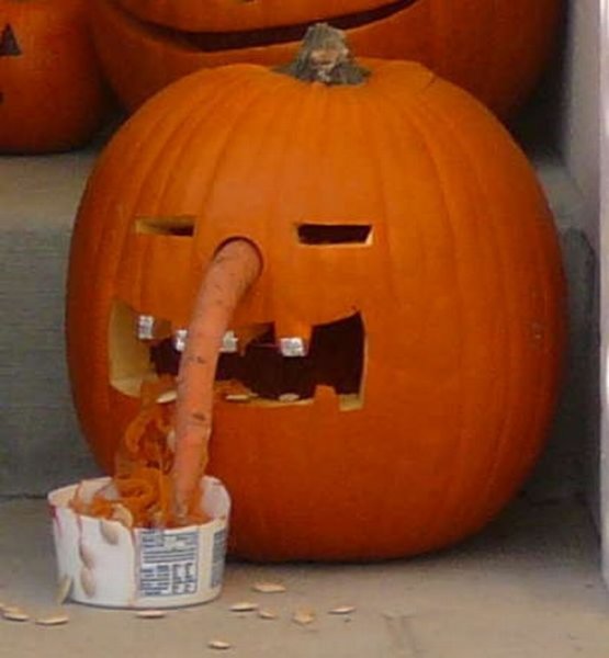 Тыква