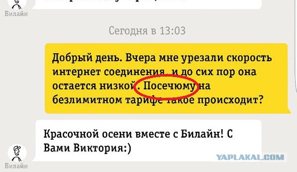 Безлимит от Пчелки и отзывчивые операторы