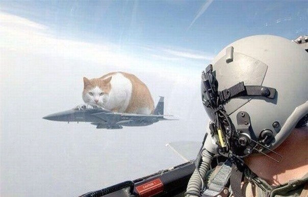 Юмор не для всех