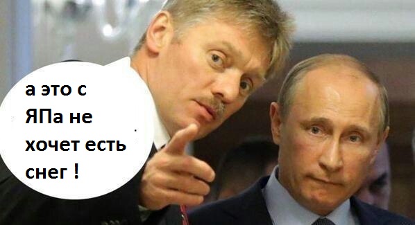 Песков подтвердил готовность россиян «есть снег» в условиях санкций