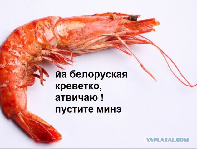 Адский ад на российско-белорусской границе