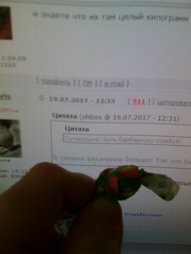 Девушки, а вы дали бы за квартиру?