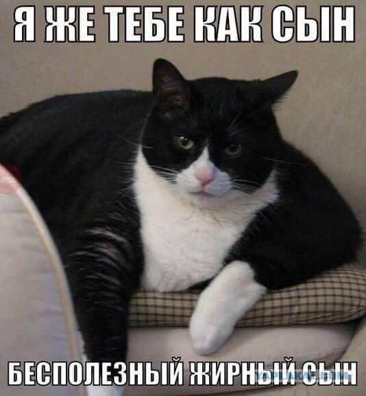 144 картинки для поднятия настроения!