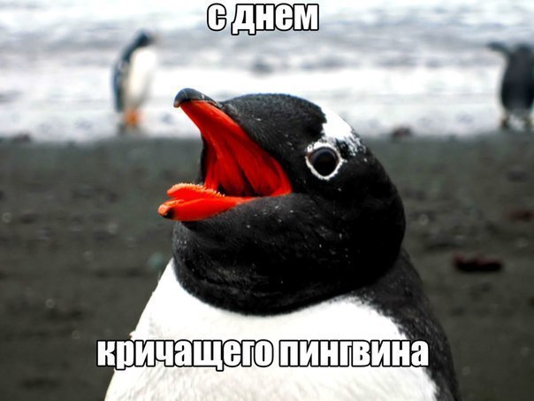 УАЗ Патриот 2017 — отзыв владельца