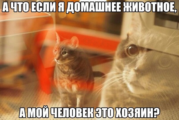 Подборка приколов на любой вкус!
