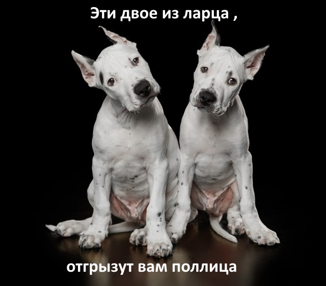 Подборка интересных и веселых картинок
