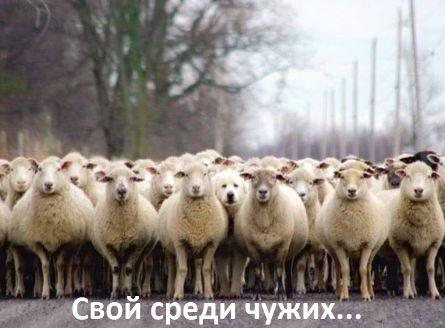 Я вам тут понасобирал