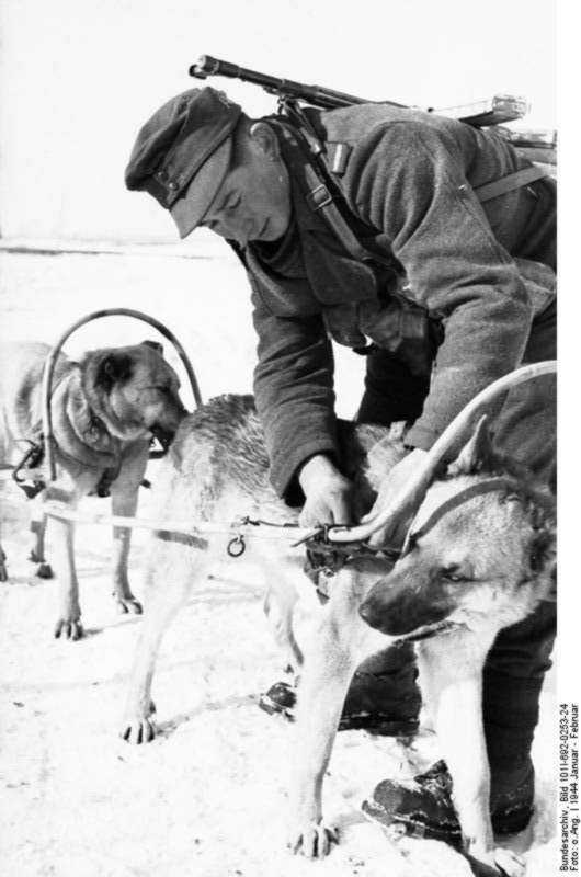 10 ударов 1944 года. Уточнения.