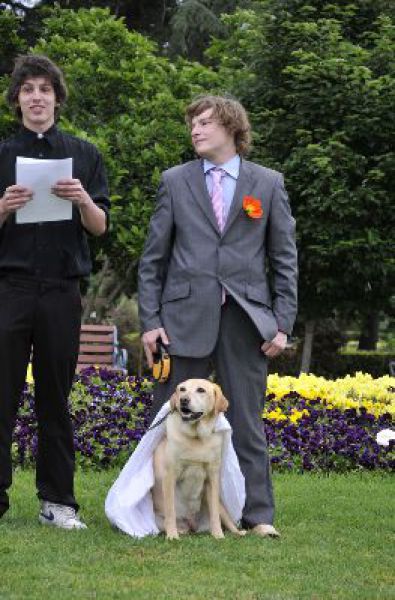 Кому и собака - невеста!