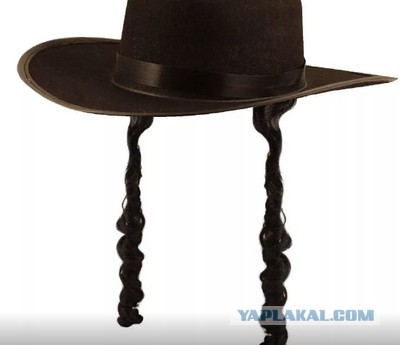 12487745.jpg