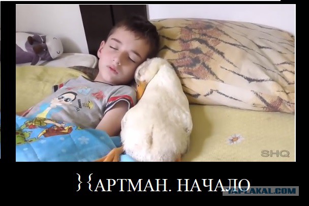Почему разведенки в большинстве случаев так легко, соглашаются на секс без обязательств