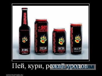 Котенок по имени Элвис и редчайшая аномалия