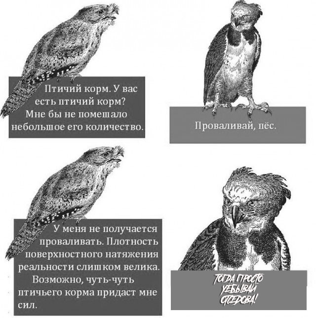 Не очень адекватный юмор