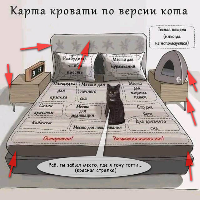 Немного картинок с надписями и без - 3