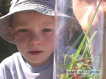 1 июня. День защиты детей