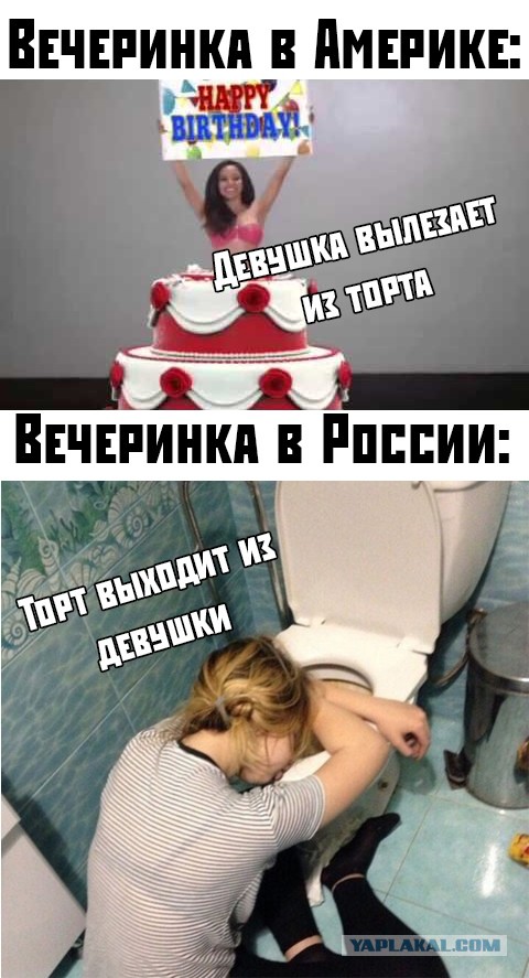 Чуток картинок 08.11.19