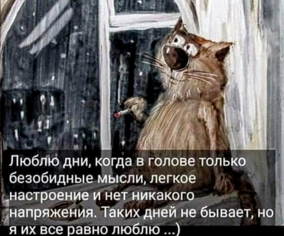 Картинки с надписями, истории и анекдоты 21.12.19