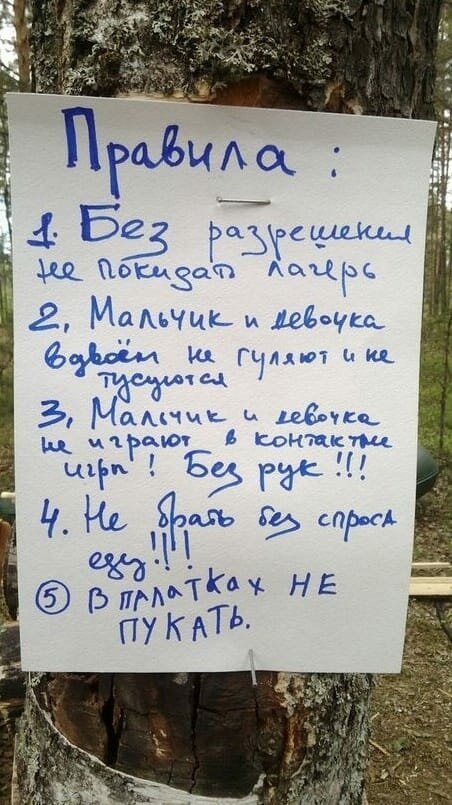 Чуток картинок. 02.02.20