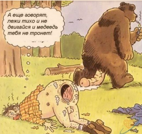 Мог бы в этот день миллион в лотерею выиграть, но пошёл в тайгу