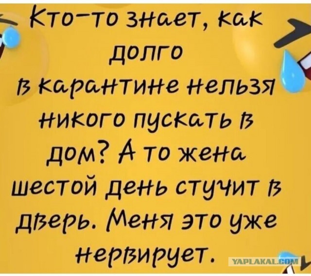 Немного картинок для настроения 04.04.20
