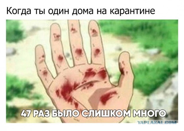 Картинки из рабочего чата 06.04.