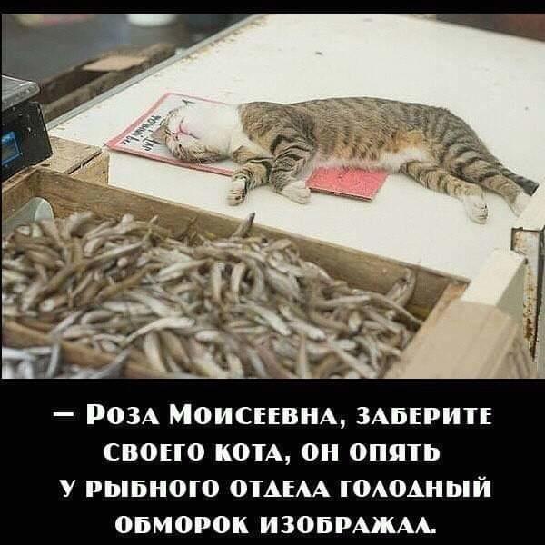 Немного картинок для настроения 18.05.20