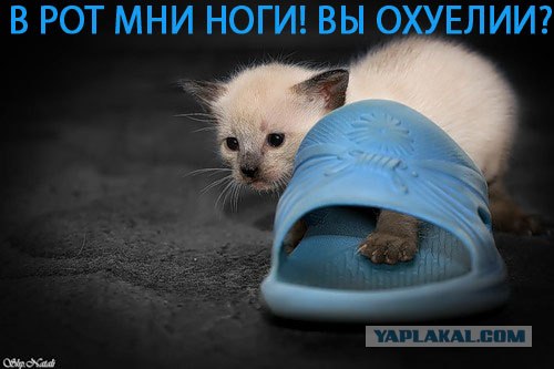 Фотожаба: Граждане!