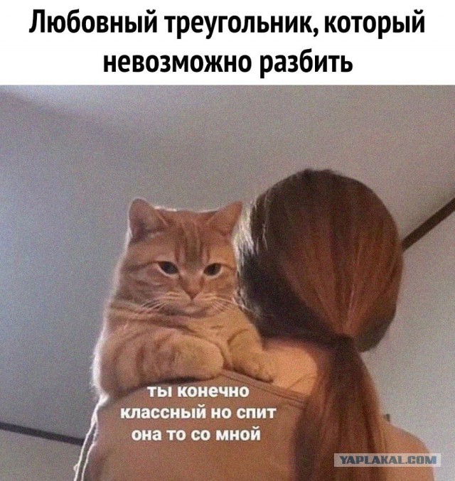 Почему мужчины не хотят идти в ЗАГС?