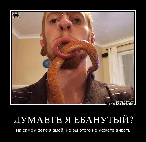 Скотсети и прочие интернеты 17.09.2020 Lite
