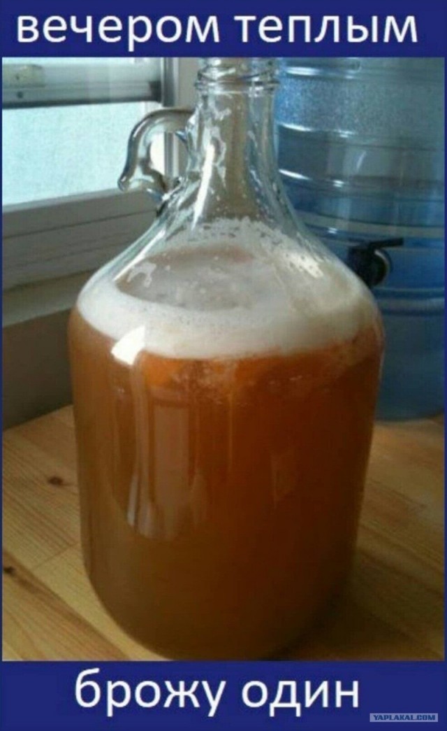 Алкопост 19.09.20