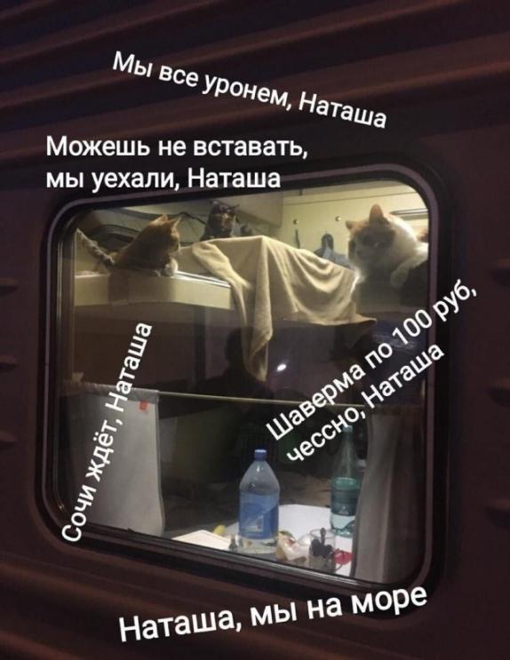 Просто картиночки 17.10.20 ← Hodor