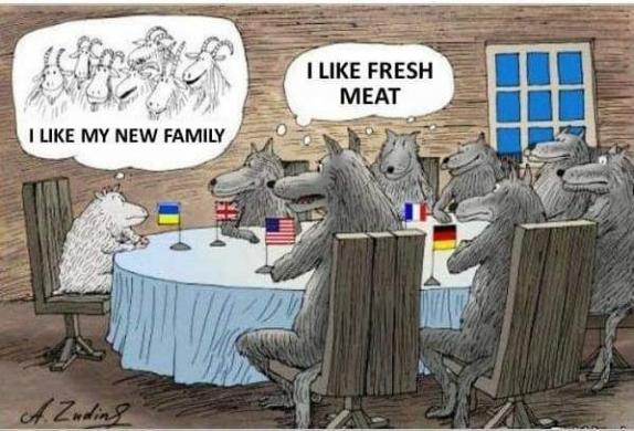 Украина планируют закупить американские истребители