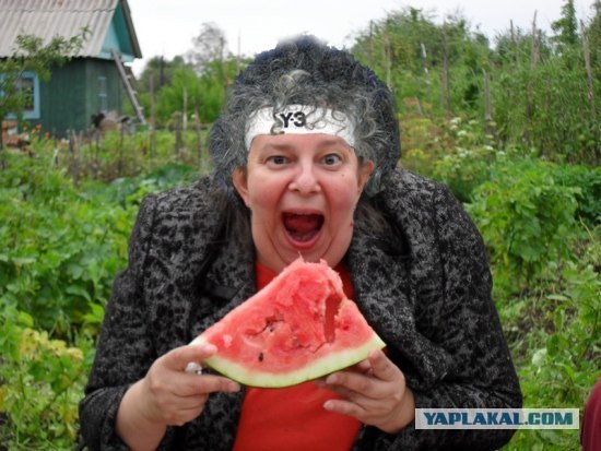 Фотожаба: Принцесса ФИОНА