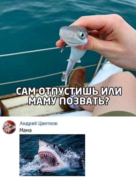 Бредзона 03.11.2020