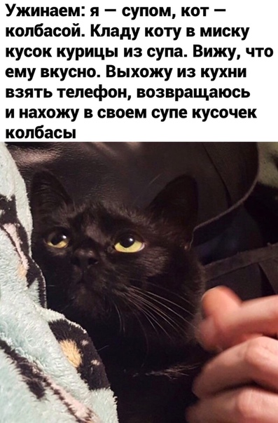Немного картинок для настроения 12.11.20