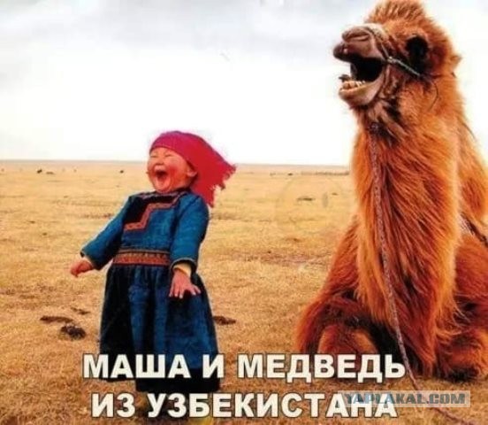 Юмор в картинках 03.12.20