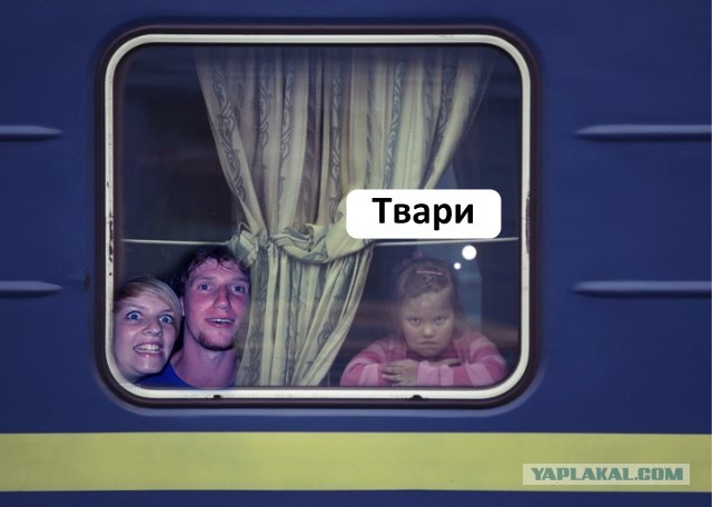 Вытянулась: картинка и 2 жабы