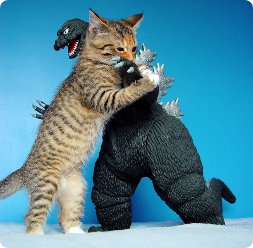 Котёнок мочит Троллей