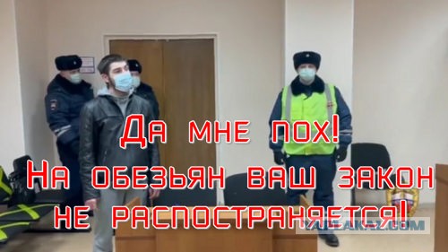 Полицейские нашли по видео в соцсетях агрессивного и опасного водителя и отняли у него права