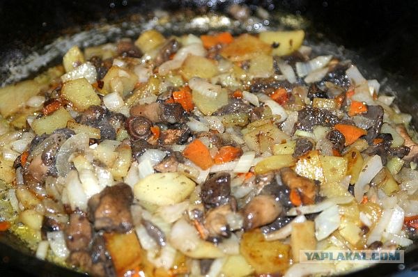 Курочка набитая.