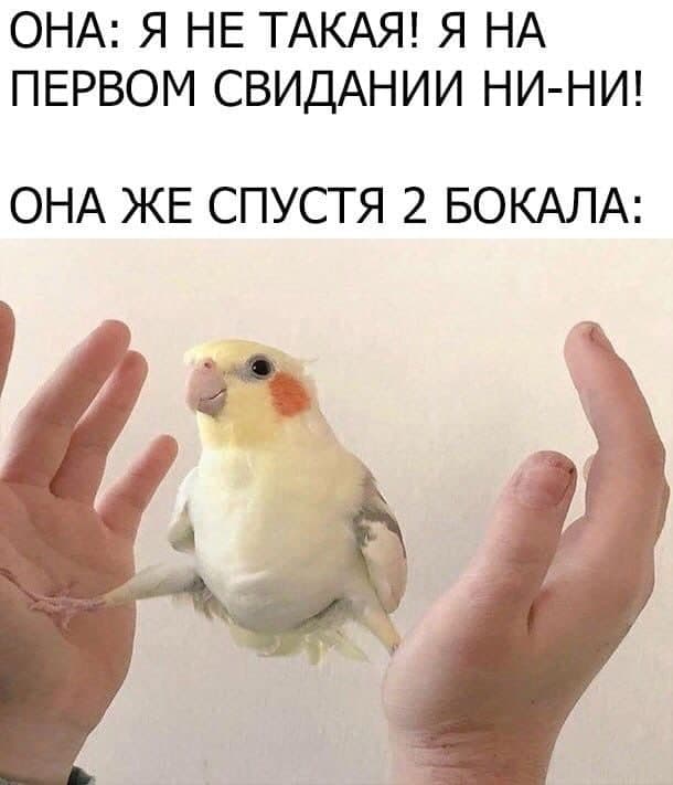 Пятница. И немного слегка пошлых картинок с надписями и без 16+ (17.09))