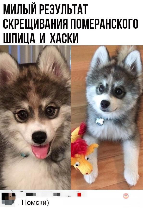 Так себе картинки 24.04.22
