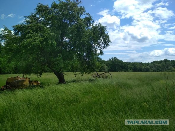 Колорит и атмосфера русской глубинки