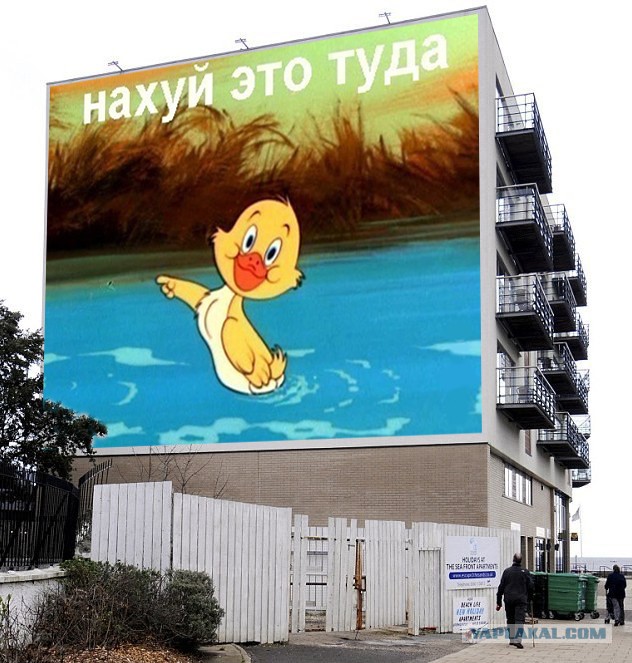 Дом, в который врезаются гуси
