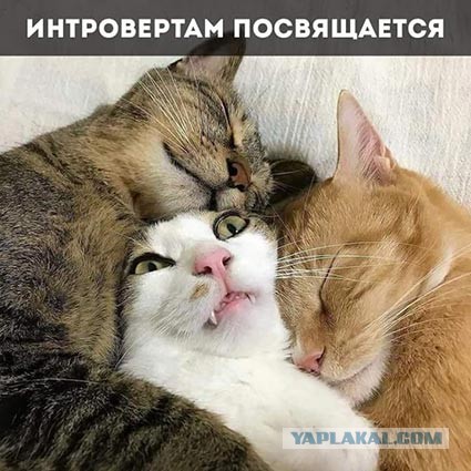 Корпоративный дух и иже с ним