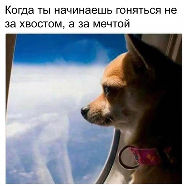 Немного картинок для настроения - 127